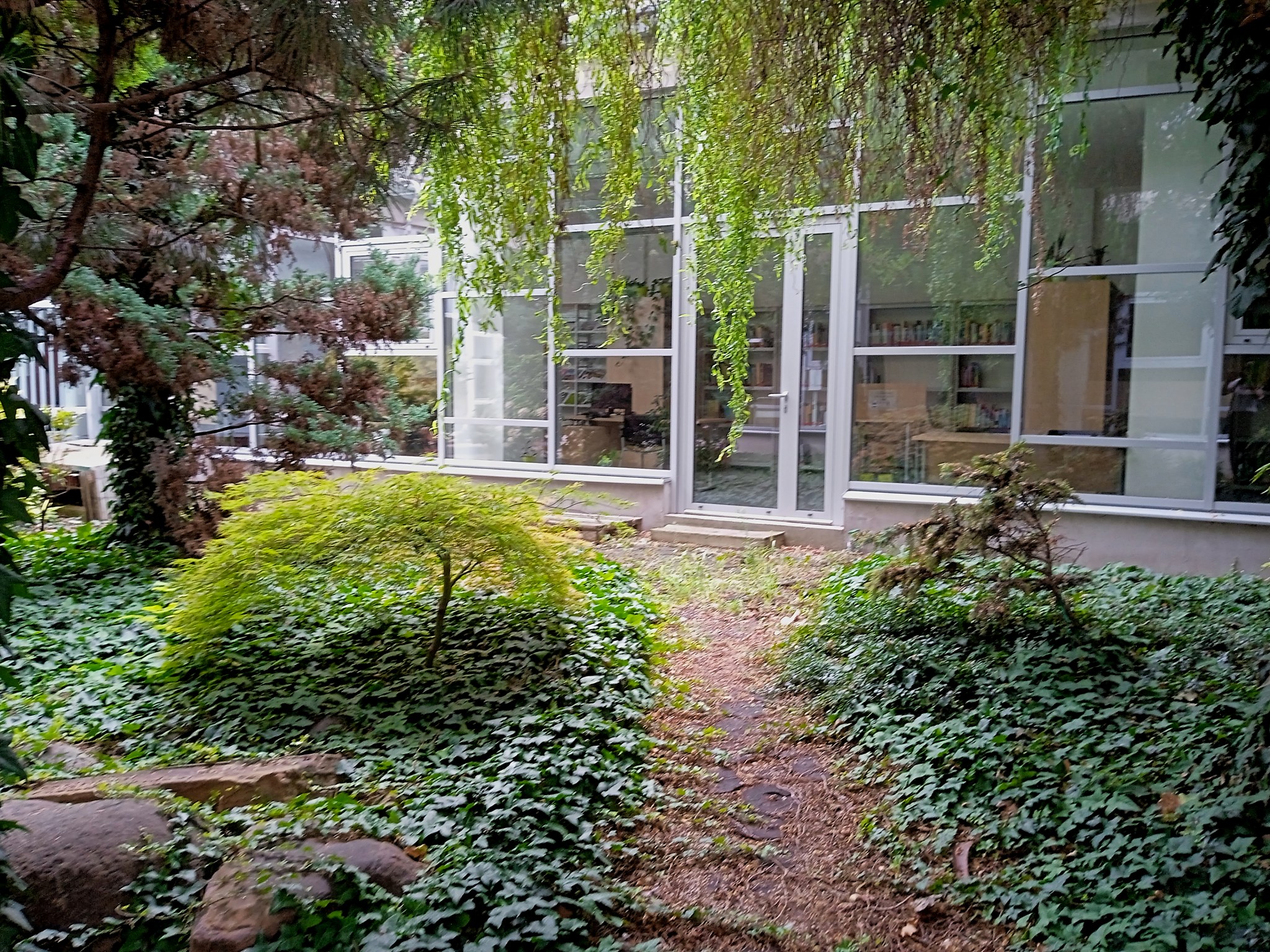 V zrevitalizovanom átriu dominujú magnólie, hortenzie a tisy